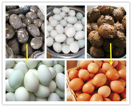 Applications of Egg Washing Machine