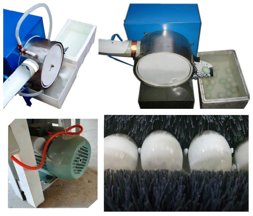 Automatic Egg Washing Machine Feature