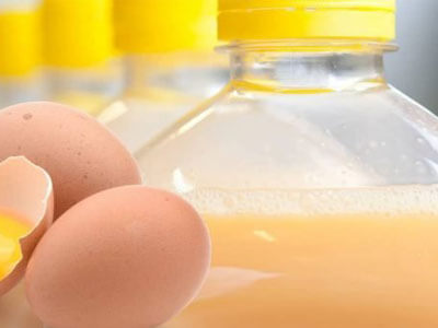 egg liquid factory egg liquid factory